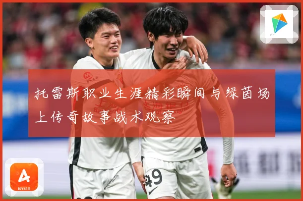 托雷斯职业生涯精彩瞬间与绿茵场上传奇故事战术观察