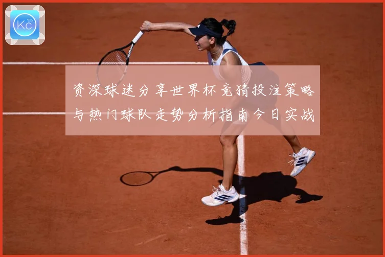 资深球迷分享世界杯竞猜投注策略与热门球队走势分析指南今日实战