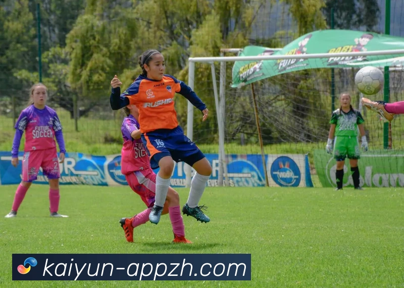 开云平台展示图